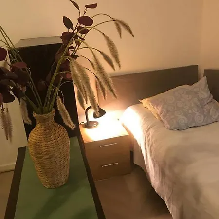 Renovated Two In Centre With Amenities * 라우마