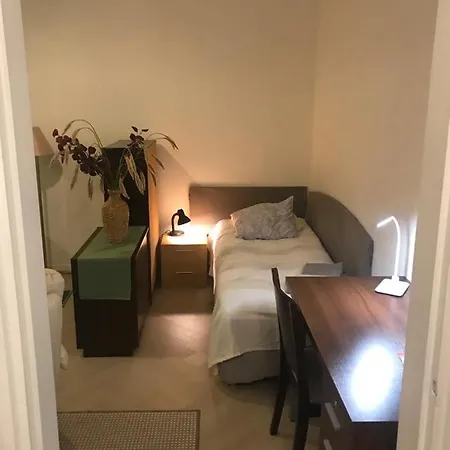 Renovated Two In Centre With Amenities * 라우마