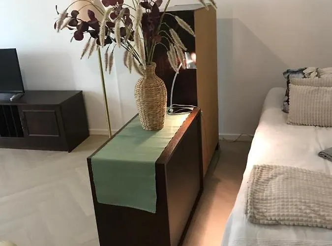 Renovated Two In Centre With Amenities Raumo